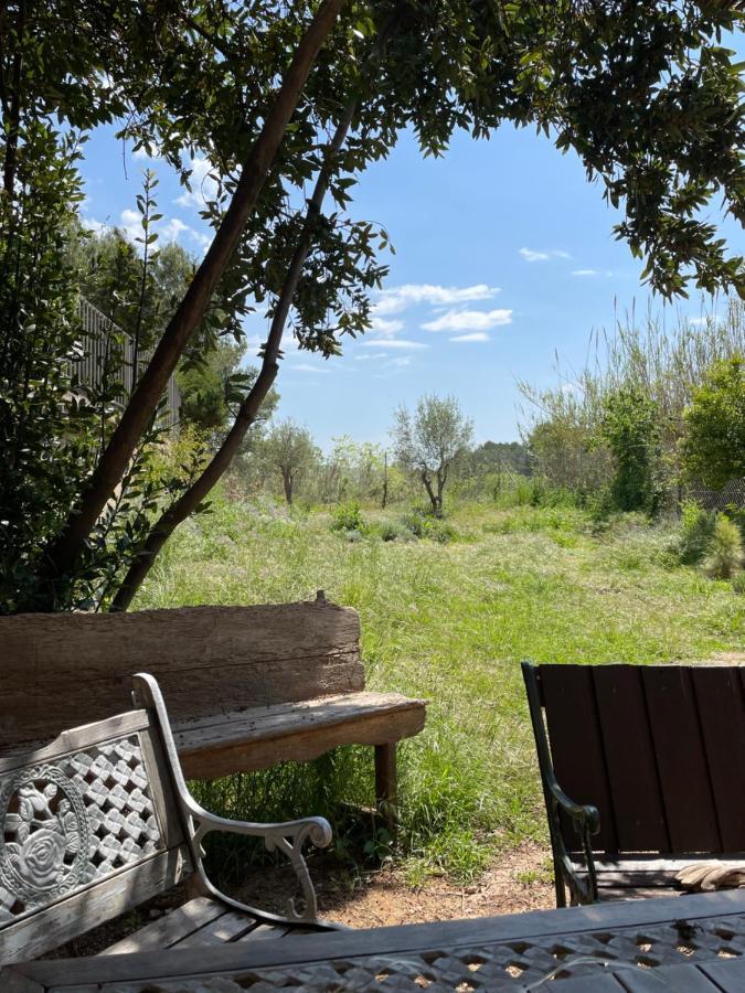 Casa Rural Con Jardin,A 8Km Playa Y En La Naturaleza Taronja&Canyella Ardenya 외부 사진