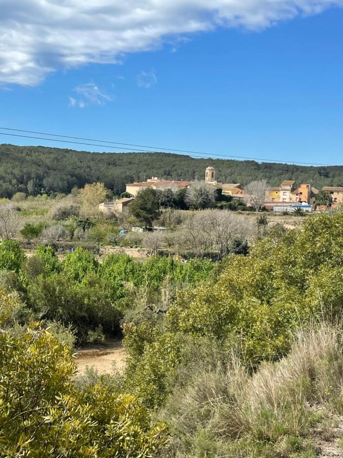 Casa Rural Con Jardin,A 8Km Playa Y En La Naturaleza Taronja&Canyella Ardenya 외부 사진