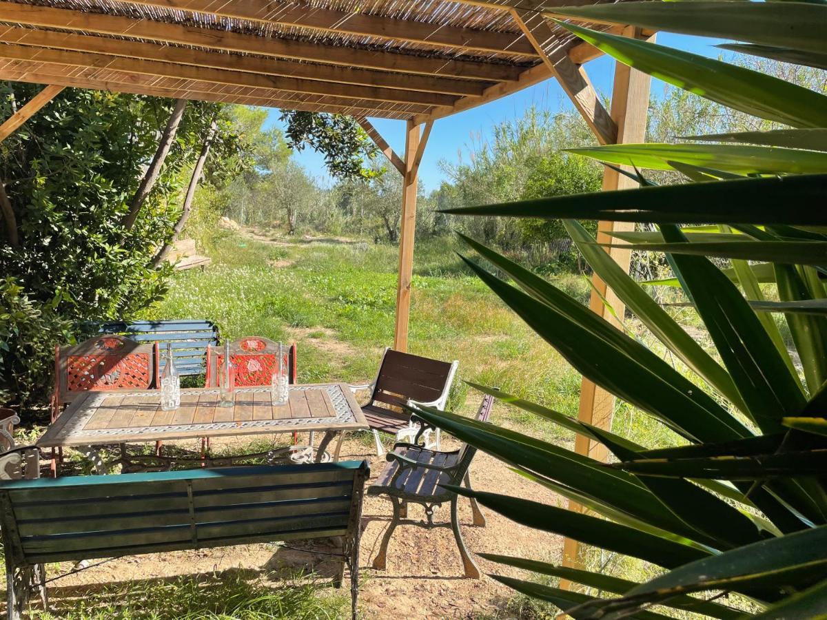 Casa Rural Con Jardin,A 8Km Playa Y En La Naturaleza Taronja&Canyella Ardenya 외부 사진