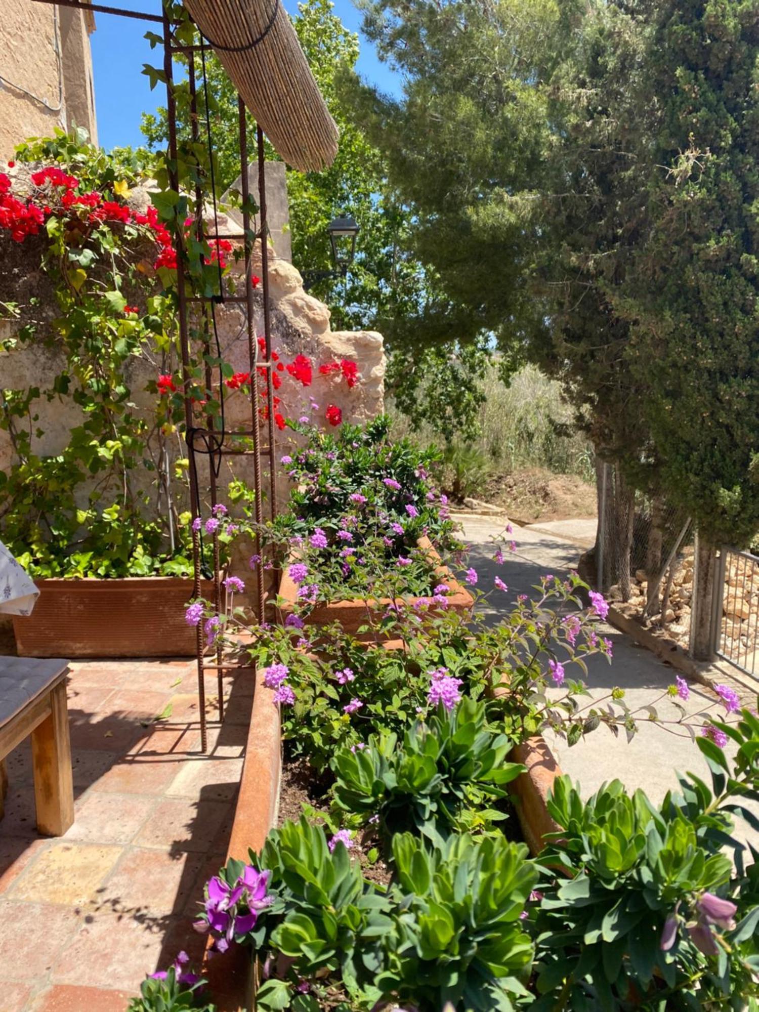 Casa Rural Con Jardin,A 8Km Playa Y En La Naturaleza Taronja&Canyella Ardenya 외부 사진